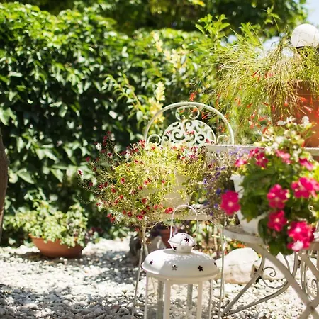 Zeljana Orebić